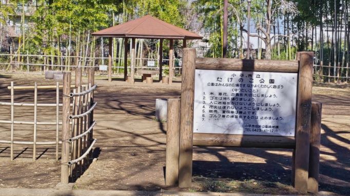 2.13散策8.JPG