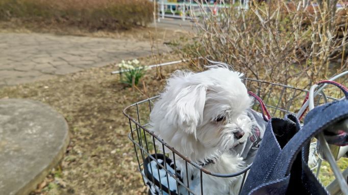 2.15マル公園1.JPG