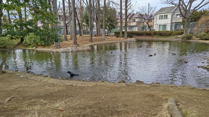 2.15マル公園2.JPG