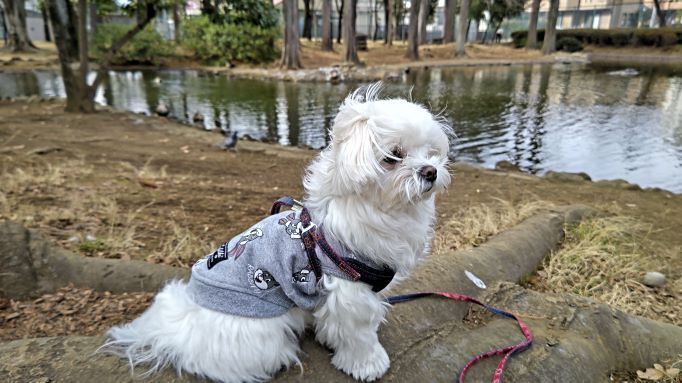 2.15マル公園5.JPG