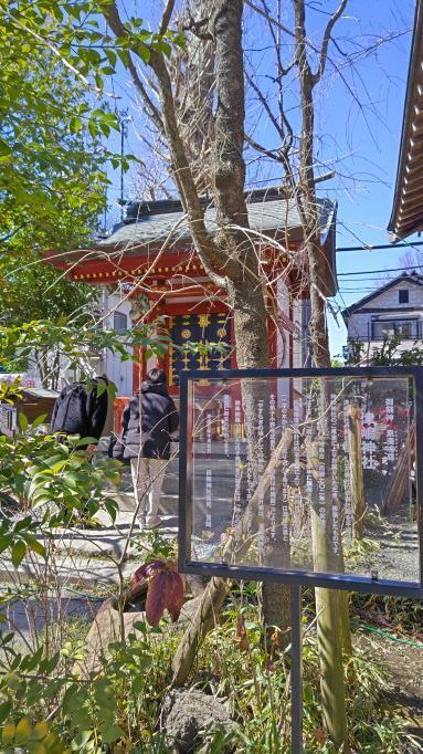 2.28.田無神社17.JPG