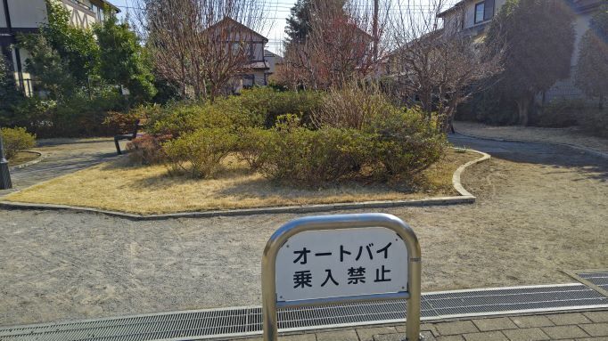 2.4マル散歩8JPG.JPG