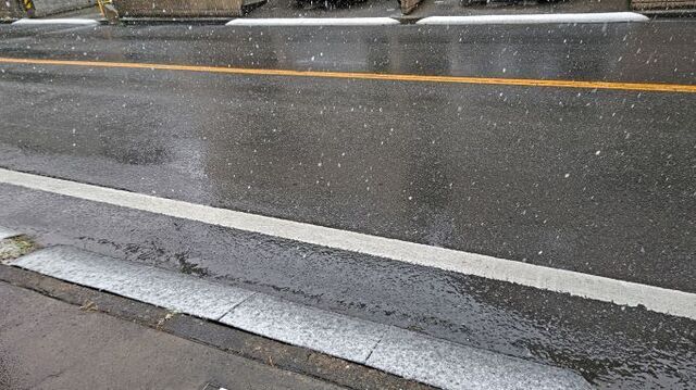 2.5雪14.30.JPG