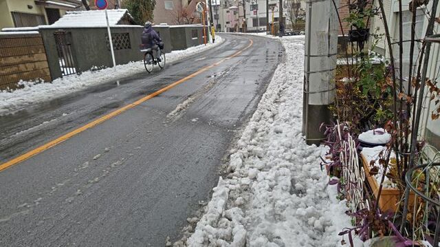 2.6雪2.JPG