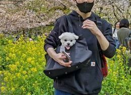 2023.4.1小金井公園3.JPG