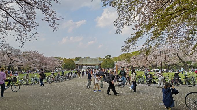 2023.4.1小金井公園9JPG.JPG
