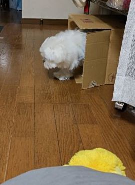 3.12マル1.JPG
