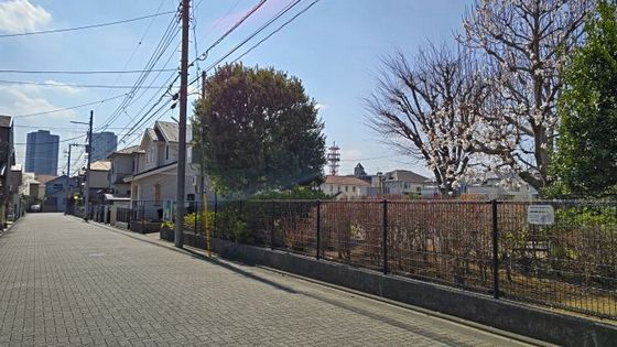 3.16散歩3.JPG
