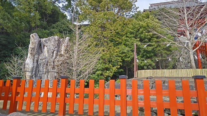 3.1鶴岡八幡宮イチョウ.JPG
