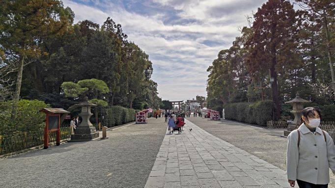 3.1鶴岡八幡宮参道.JPG