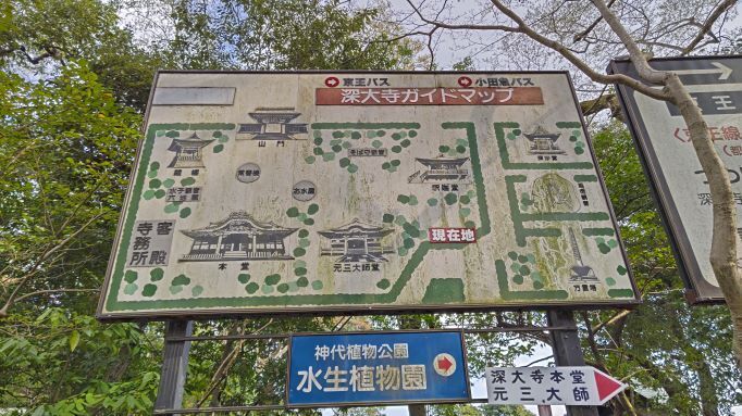 3.22深大寺13.JPG
