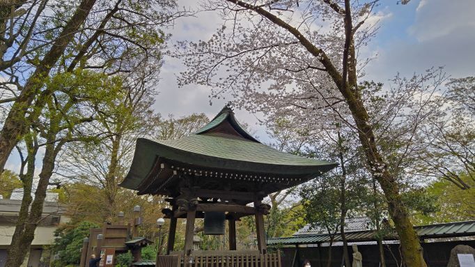 3.22深大寺2.JPG