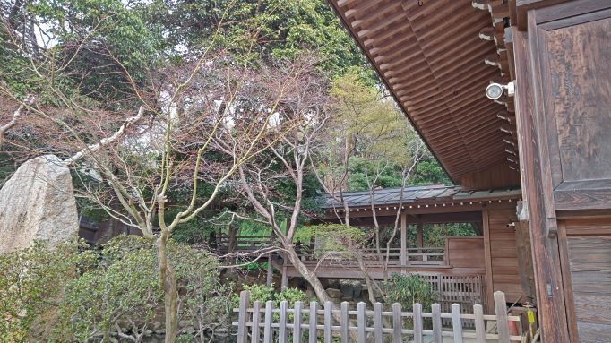 3.22深大寺5.JPG