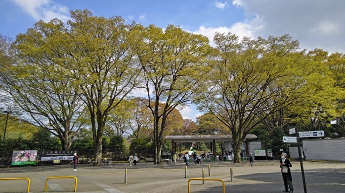 3.22神代植物公園.JPG