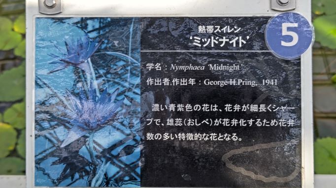 3.22神代植物公園10.JPG