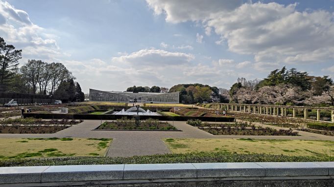 3.22神代植物公園15.JPG