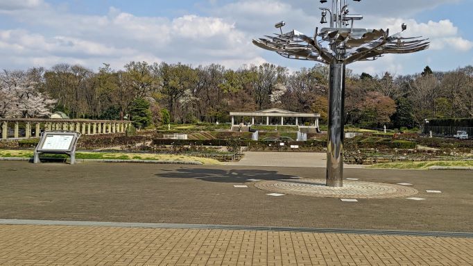 3.22神代植物公園3.JPG