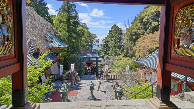 3.27久能山21.JPG