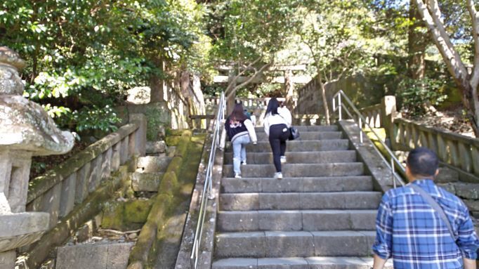 3.27久能山29.JPG