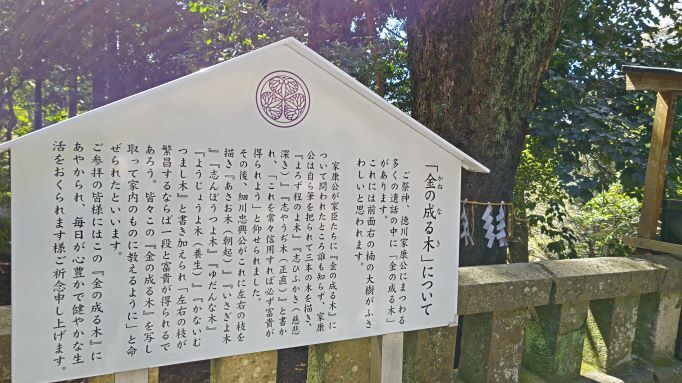 3.27久能山30.JPG