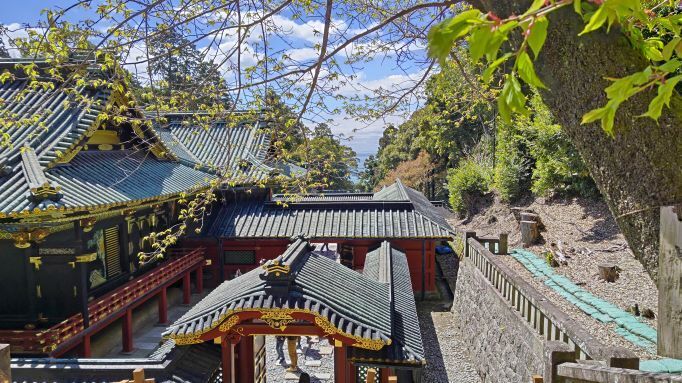 3.27久能山32.JPG