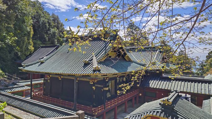 3.27久能山33.JPG