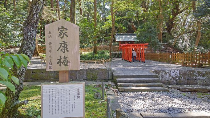 3.27久能山37.JPG