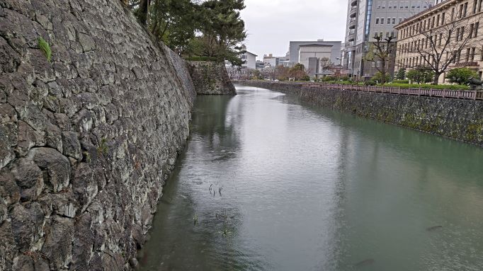 3.27駿府城公園.JPG