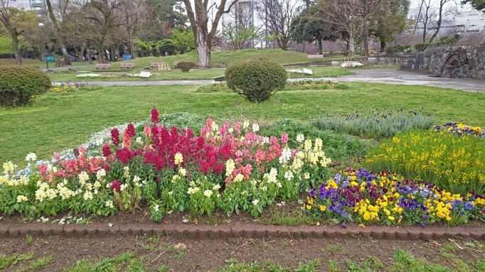 3.27駿府城公園1.JPG