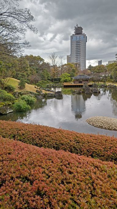 3.27駿府城公園14.JPG