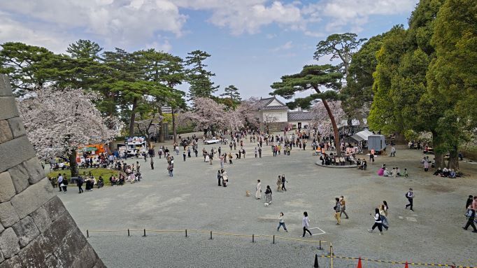 3.29小田原城14.JPG