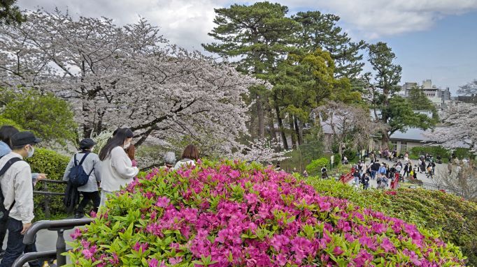 3.29小田原城2.JPG