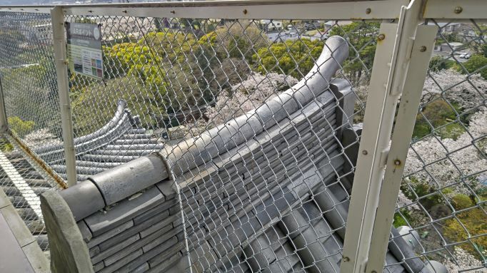 3.29小田原城24JPG.JPG