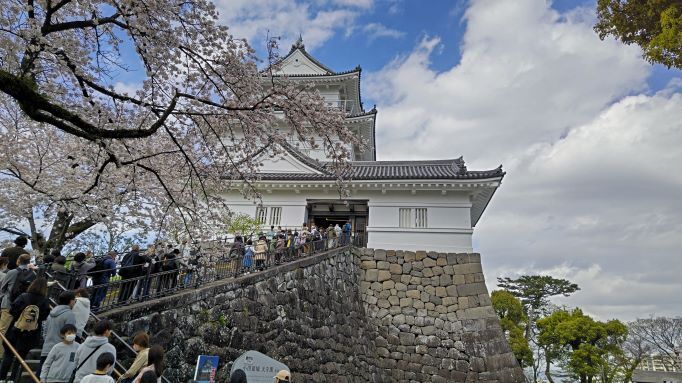 3.29小田原城36JPG.JPG