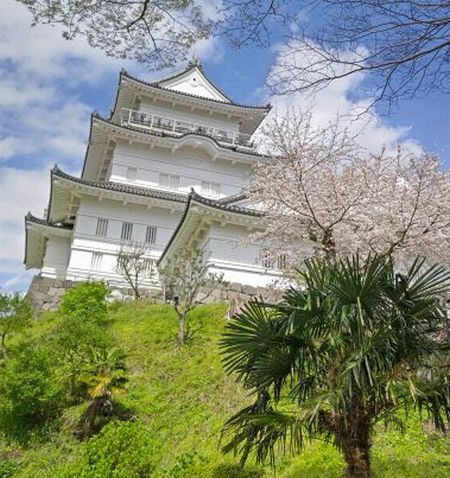 3.29小田原城38JPG.JPG