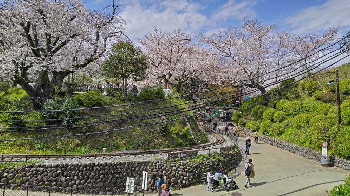 3.29小田原城39JPG.JPG