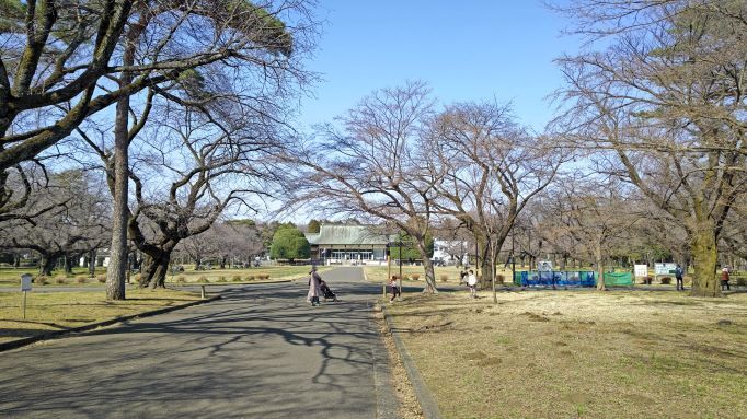 3.7小金井公園.JPG