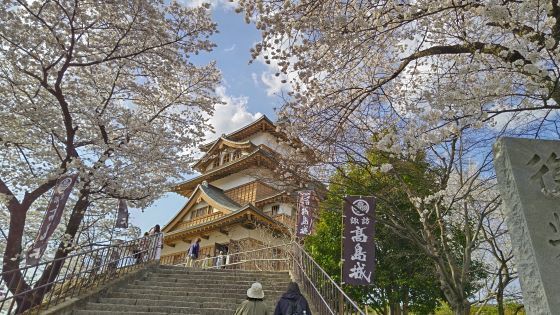 4.14高島城.jpg