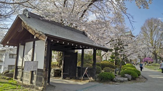 4.14高島城10.jpg