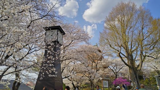 4.14高島城13.jpg