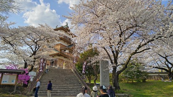 4.14高島城14.jpg