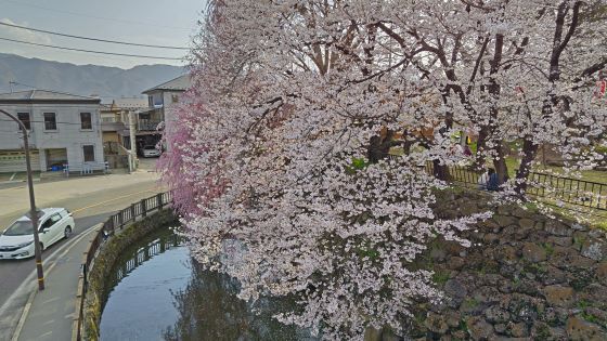 4.14高島城2.jpg