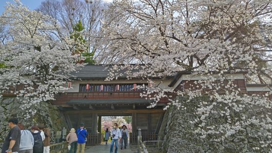 4.14高島城23.jpg