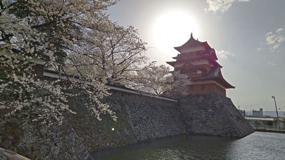 4.14高島城24.jpg