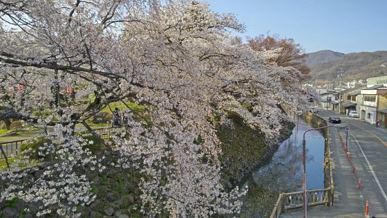 4.14高島城25.jpg