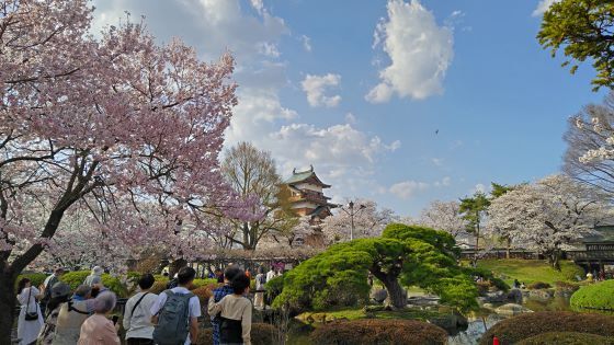 4.14高島城6.jpg