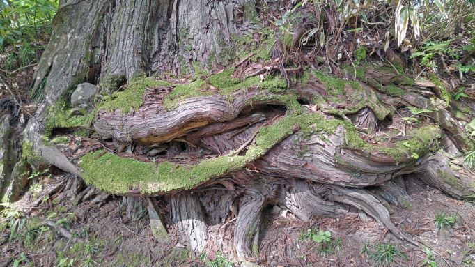 5.13出羽三山30JPG.JPG