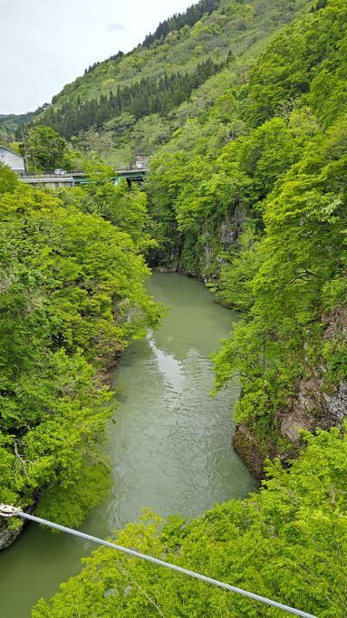 5.13月山吊り橋3JPG.JPG