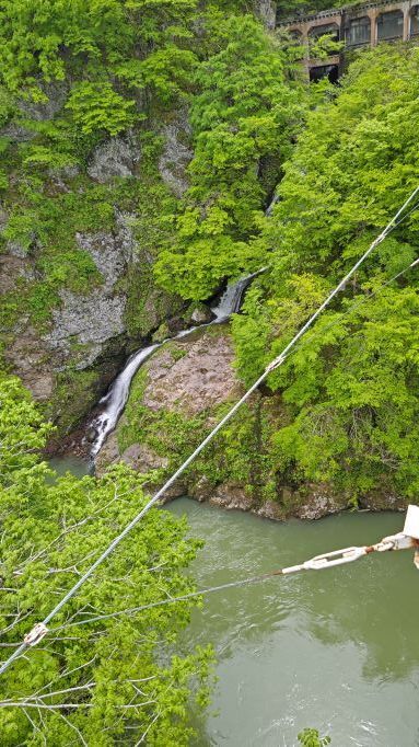 5.13月山吊り橋5.JPG