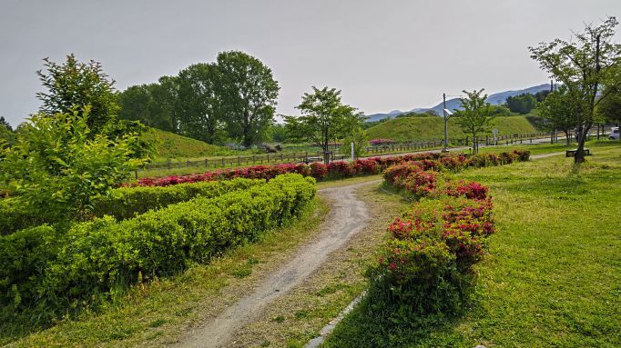 5.13霞城公園10JPG.JPG